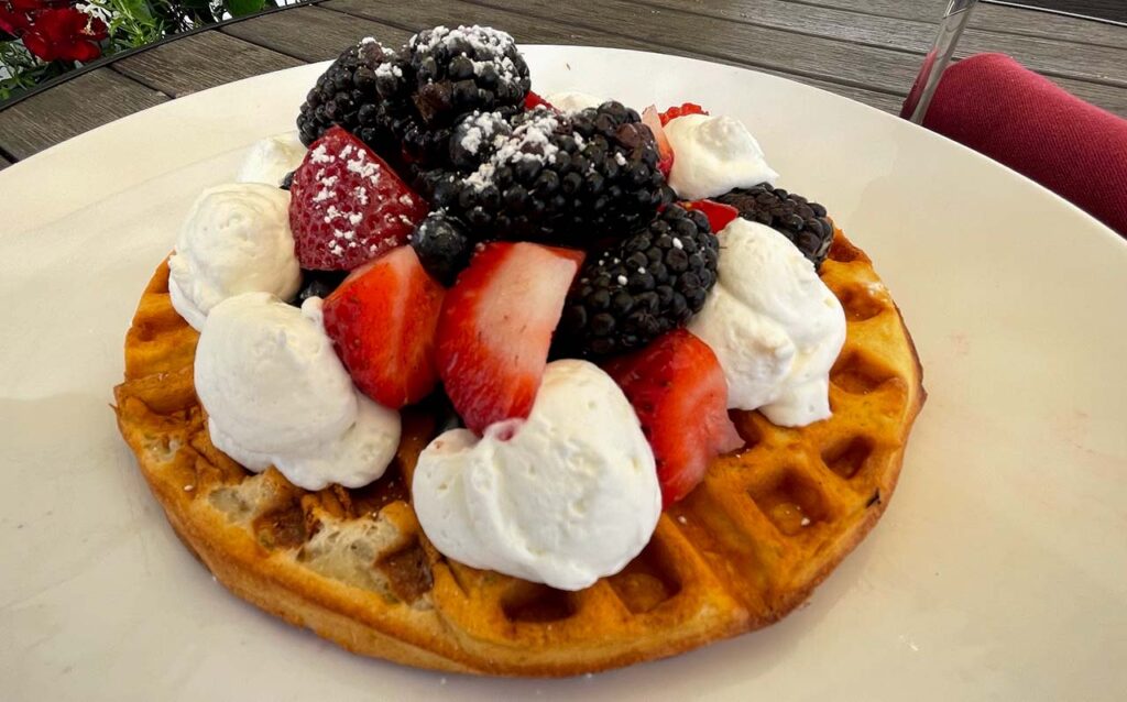 Reyes Vanilla Waffle